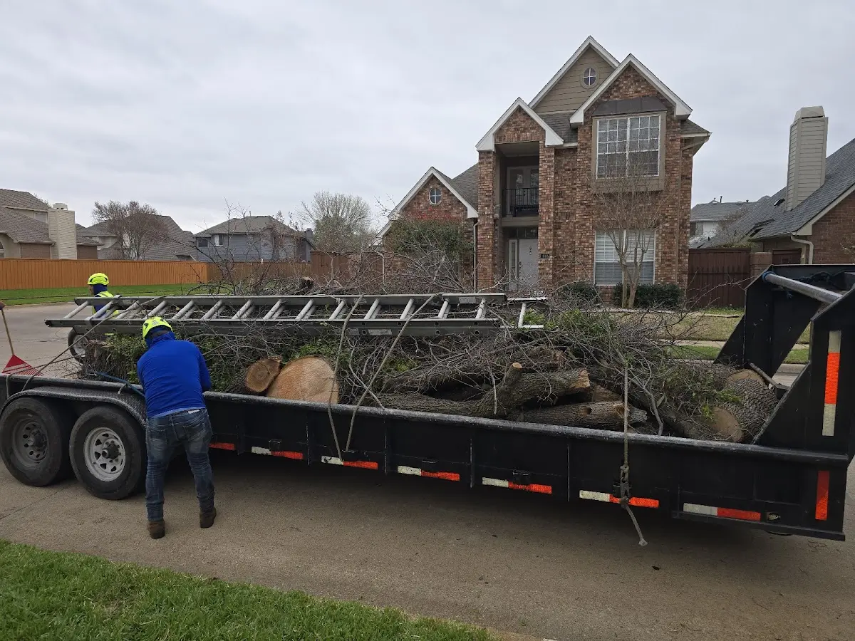 Expert Deadwooding with proper safety equipment in Rumson